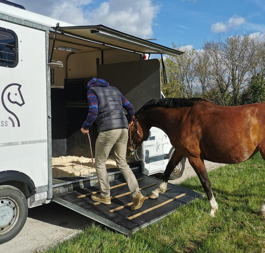 Accès large et stable Embarquement facile et sécurisé pour chevaux et poulains en Gironde